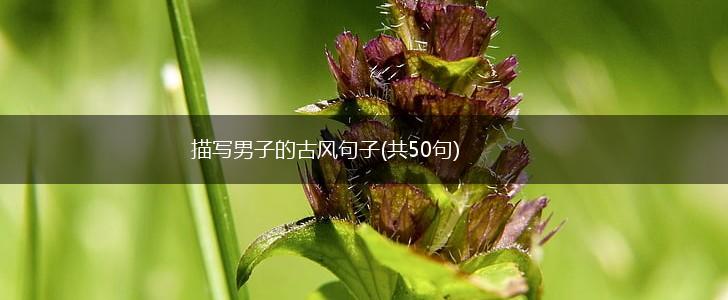 描写男子的古风句子(共50句),第1张