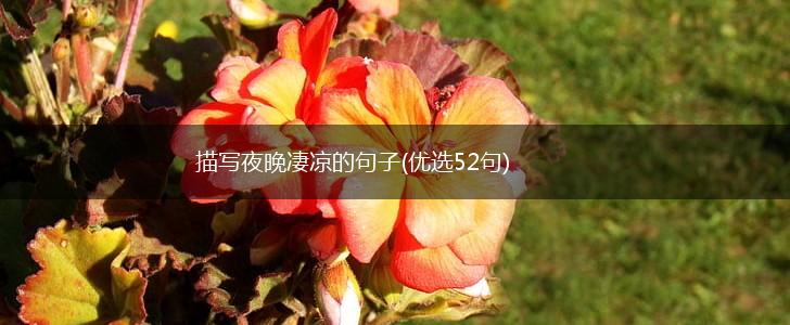 描写夜晚凄凉的句子(优选52句),第1张