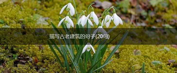 描写古老建筑的句子(20句),第1张