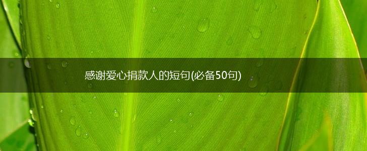 感谢爱心捐款人的短句(必备50句),第1张