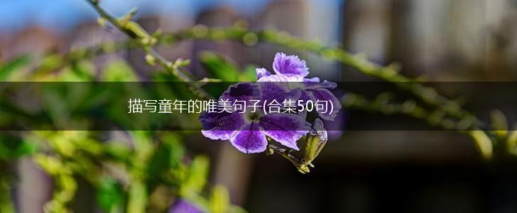 描写童年的唯美句子(合集50句),第1张