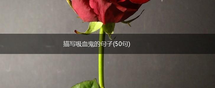 描写吸血鬼的句子(50句),第1张
