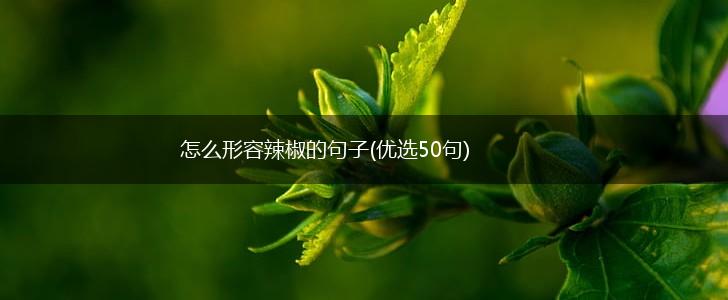怎么形容辣椒的句子(优选50句),第1张