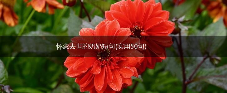 怀念去世的奶奶短句(实用50句),第1张