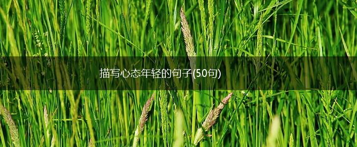 描写心态年轻的句子(50句),第1张