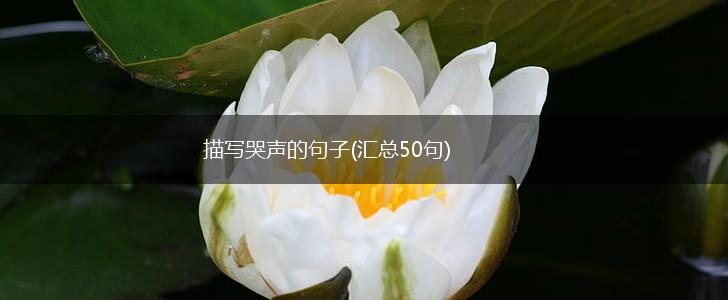 描写哭声的句子(汇总50句),第1张