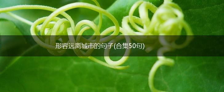 形容远离城市的句子(合集50句),第1张