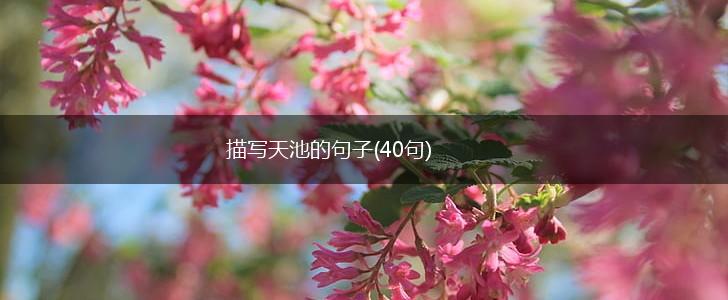 描写天池的句子(40句),第1张