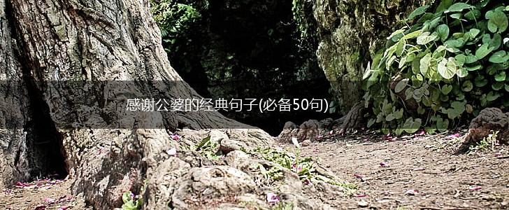 感谢公婆的经典句子(必备50句),第1张