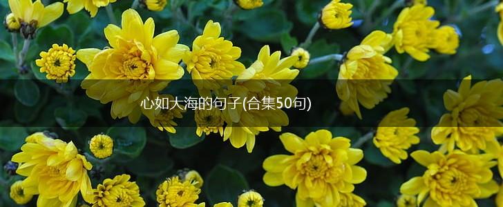 心如大海的句子(合集50句),第1张