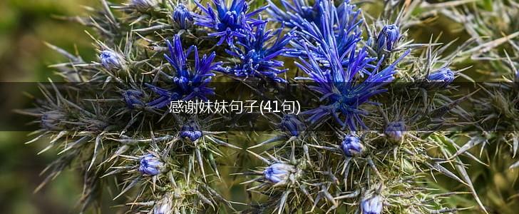 感谢妹妹句子(41句),第1张