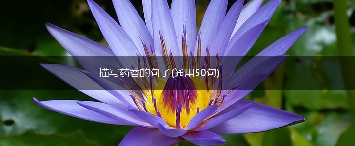 描写药香的句子(通用50句),第1张