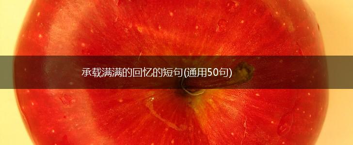 承载满满的回忆的短句(通用50句),第1张