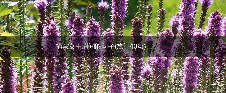 描写女生房间的句子(热门40句),第1张