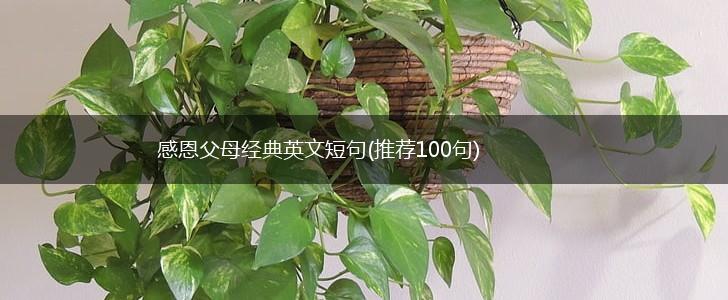 感恩父母经典英文短句(推荐100句),第1张