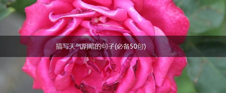 描写天气阴暗的句子(必备50句),第1张