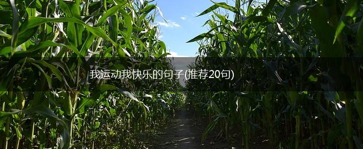 我运动我快乐的句子(推荐20句),第1张 我运动我快乐的句子(推荐20句),第1张