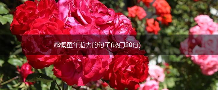 感慨童年逝去的句子(热门20句),第1张 感慨童年逝去的句子(热门20句),第1张