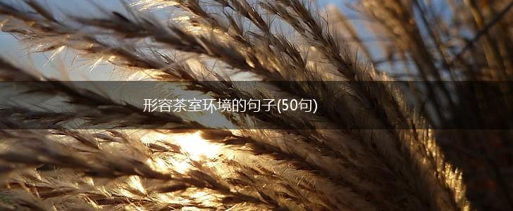 形容茶室环境的句子(50句),第1张