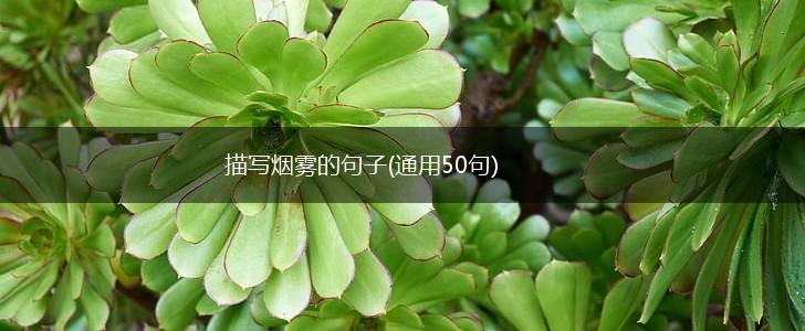 描写烟雾的句子(通用50句),第1张