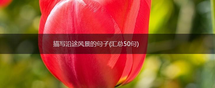 描写沿途风景的句子(汇总50句),第1张
