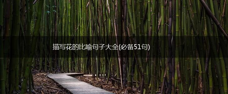 描写花的比喻句子大全(必备51句),第1张