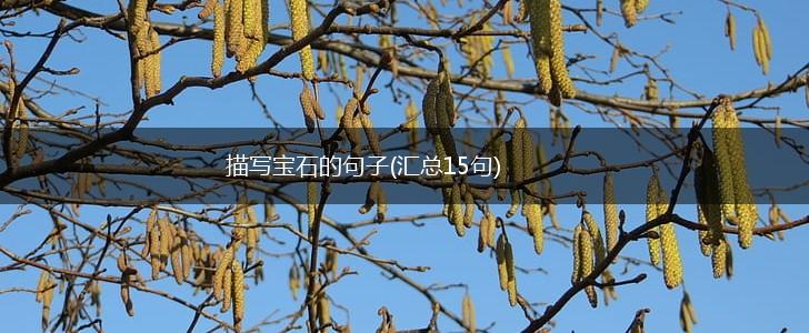 描写宝石的句子(汇总15句),第1张