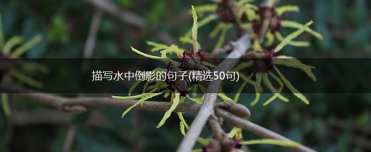 描写水中倒影的句子(精选50句),第1张