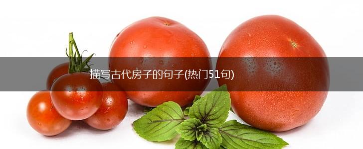 描写古代房子的句子(热门51句),第1张