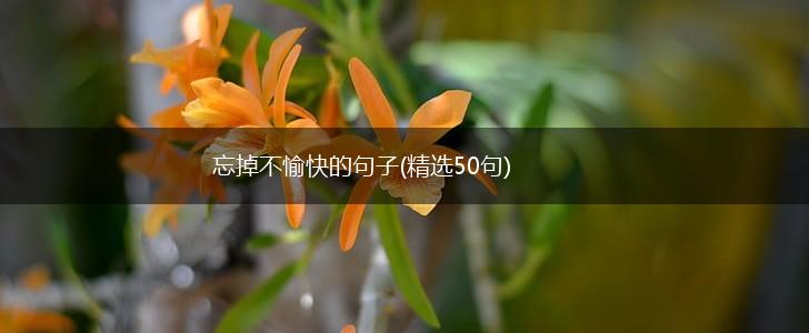 忘掉不愉快的句子(精选50句),第1张