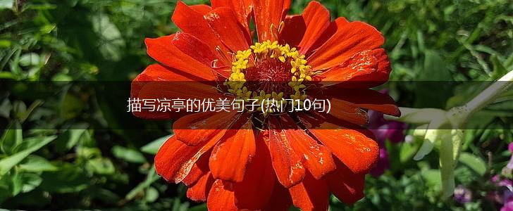 描写凉亭的优美句子(热门10句),第1张