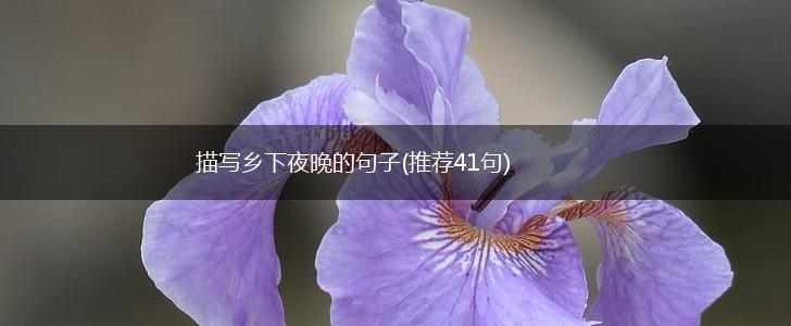 描写乡下夜晚的句子(推荐41句),第1张