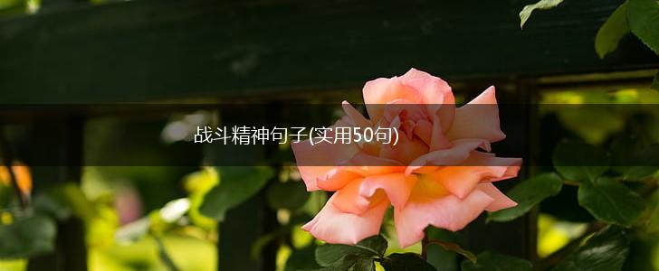 战斗精神句子(实用50句),第1张