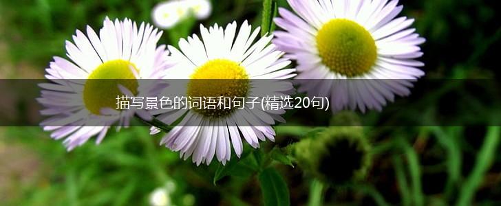 描写景色的词语和句子(精选20句),第1张