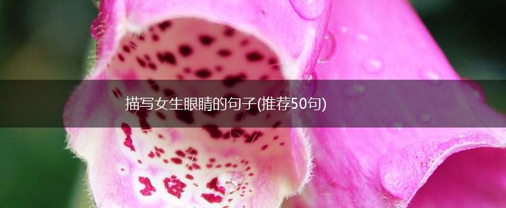 描写女生眼睛的句子(推荐50句),第1张