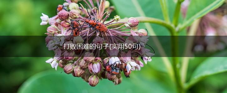 打败困难的句子(实用50句),第1张