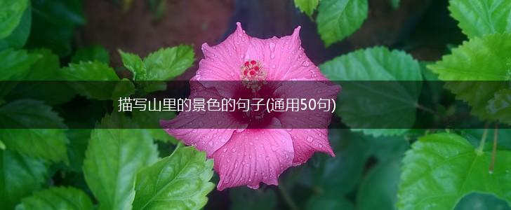 描写山里的景色的句子(通用50句),第1张