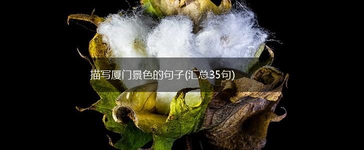 描写厦门景色的句子(汇总35句),第1张