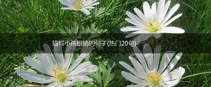 描写小孩眼睛的句子(热门20句),第1张
