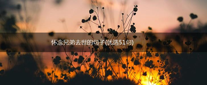 怀念兄弟去世的句子(优选51句),第1张