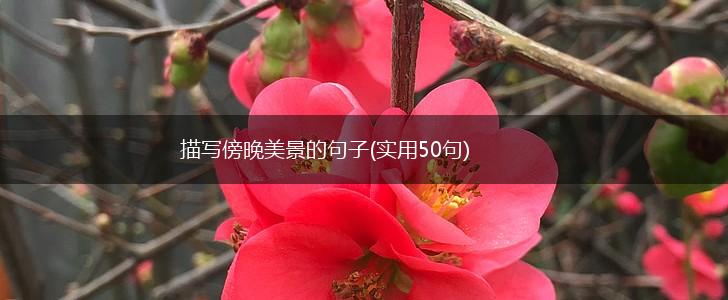 描写傍晚美景的句子(实用50句),第1张