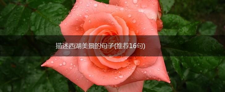 描述西湖美景的句子(推荐16句),第1张