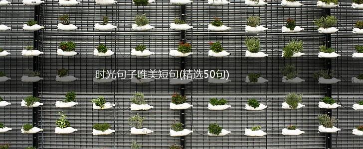 时光句子唯美短句(精选50句),第1张