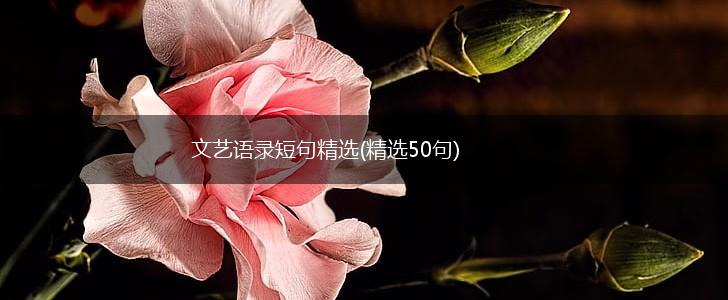 文艺语录短句精选(精选50句),第1张