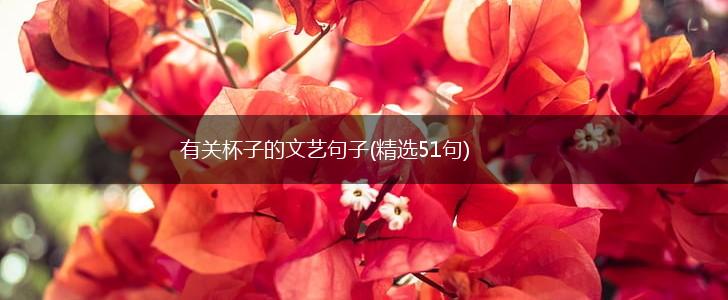 有关杯子的文艺句子(精选51句),第1张