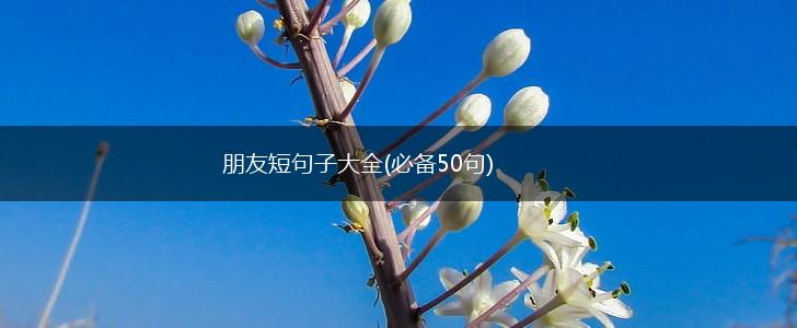 朋友短句子大全(必备50句),第1张