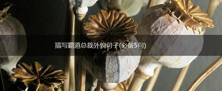 描写霸道总裁外貌句子(必备5句),第1张