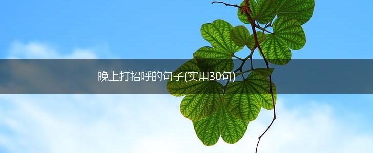 晚上打招呼的句子(实用30句),第1张