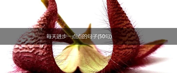 每天进步一点点的句子(50句),第1张