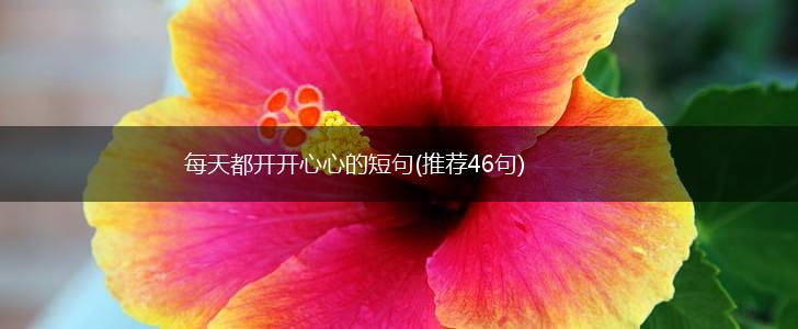 每天都开开心心的短句(推荐46句),第1张